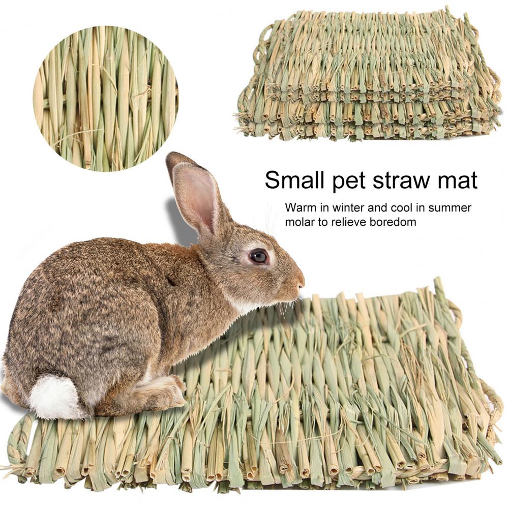 Hamster Litter 2Pcs Convenient Warm in Winter Natural Material  Four Seasons Hamster Litter Pet Cage - thepetsupplyhaven