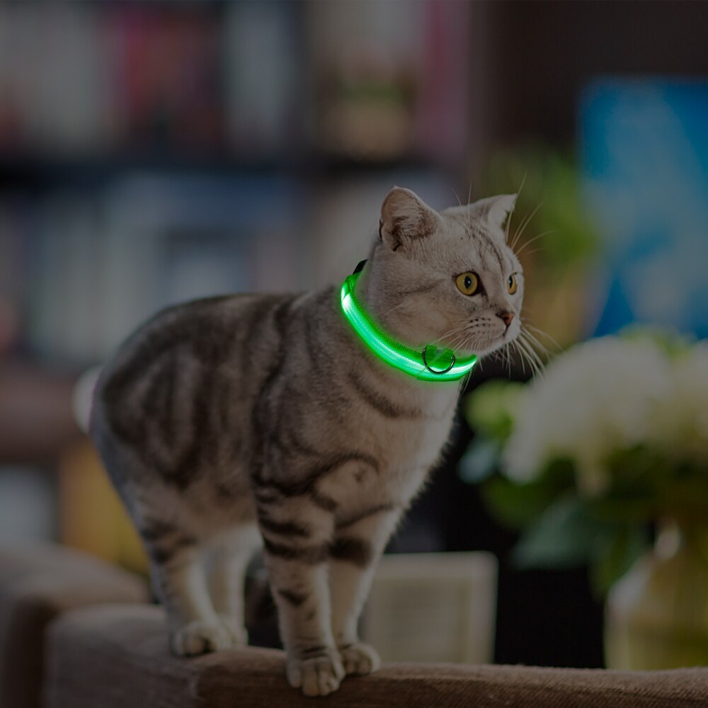 LED Lights Night Safety Dog Collar Glowing Pendant Pet Accessories Glow In The Dark Bright Necklace Dog Collar Harnesses - thepetsupplyhaven
